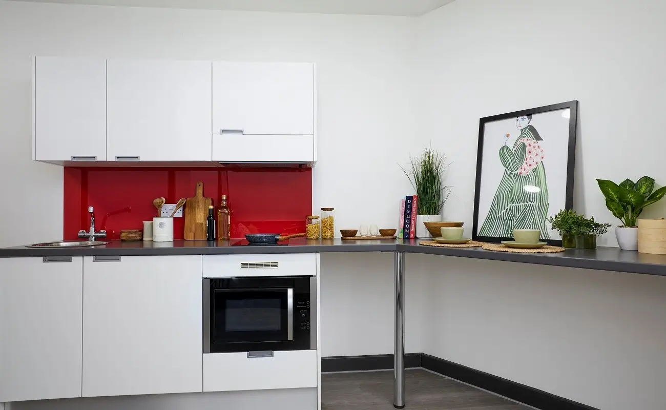 Kitchen in an Accessible Studio Premium Range 4
