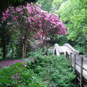 Jesmond