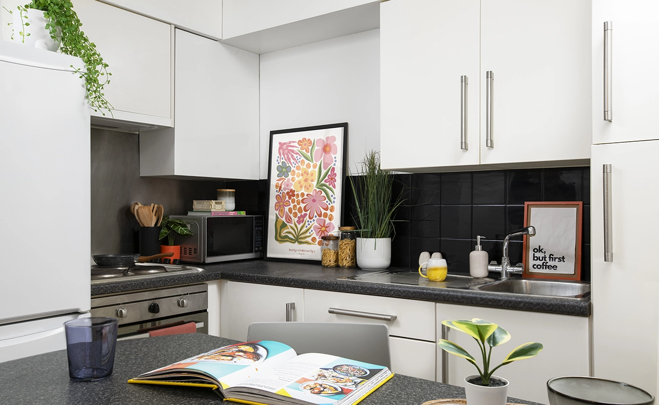 Kitchen in a Studio Premium Range 1