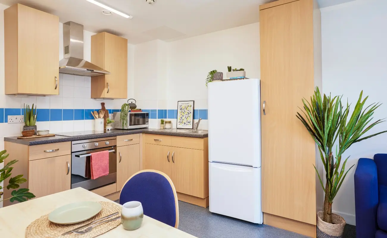Kitchen in a One Bedroom Flat Classic