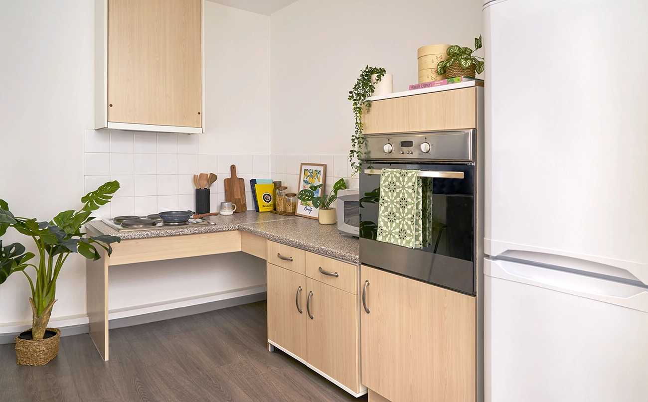 Kitchen in an Accessible Studio