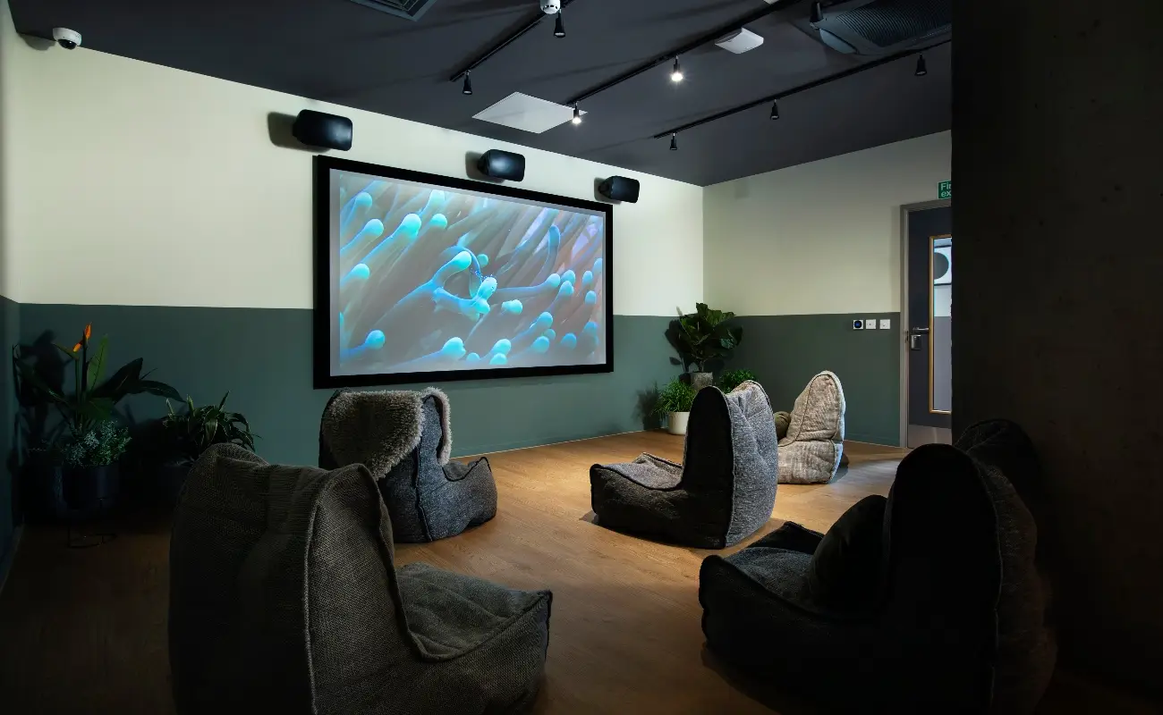 Cinema room