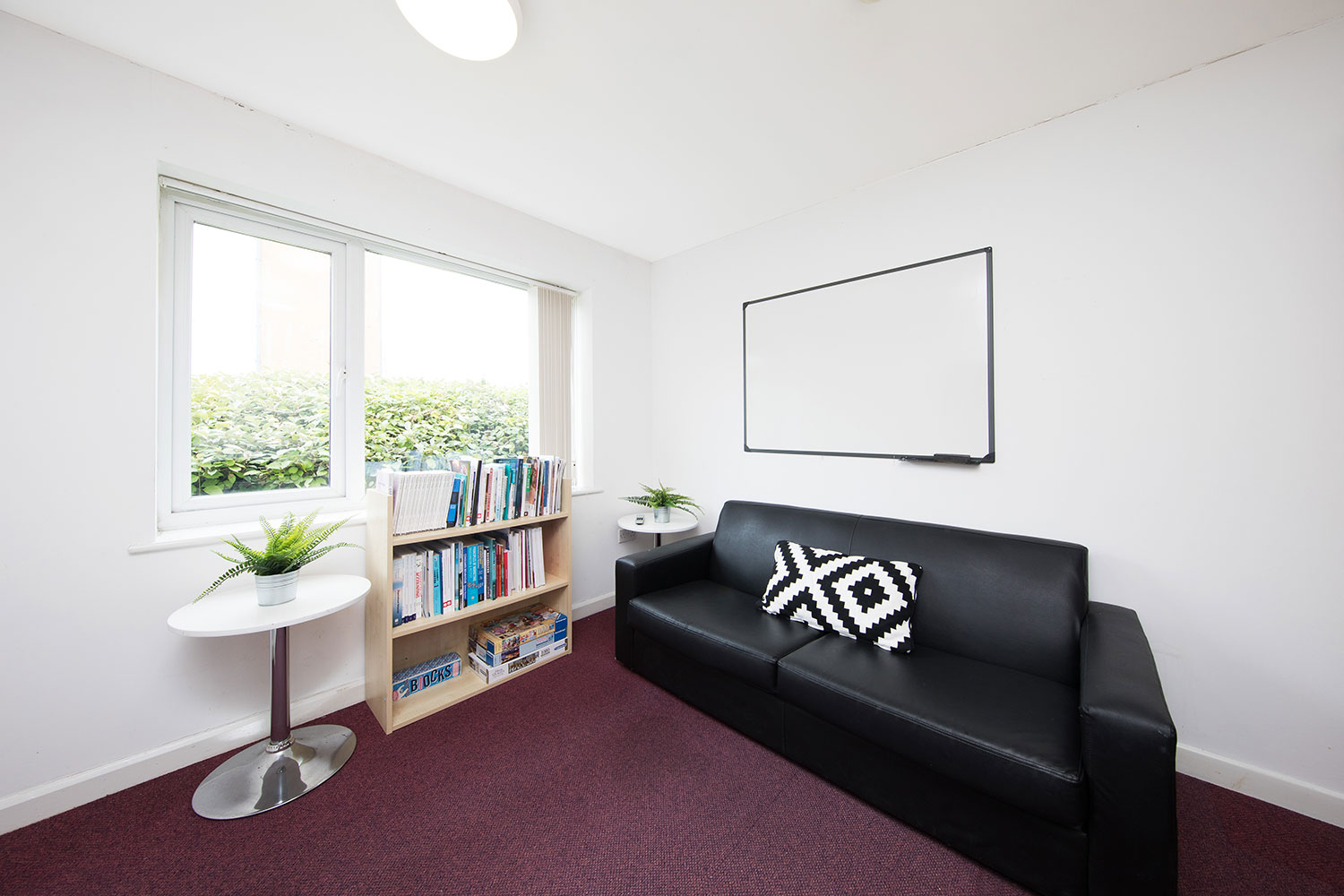 Study area at Cambrian Point