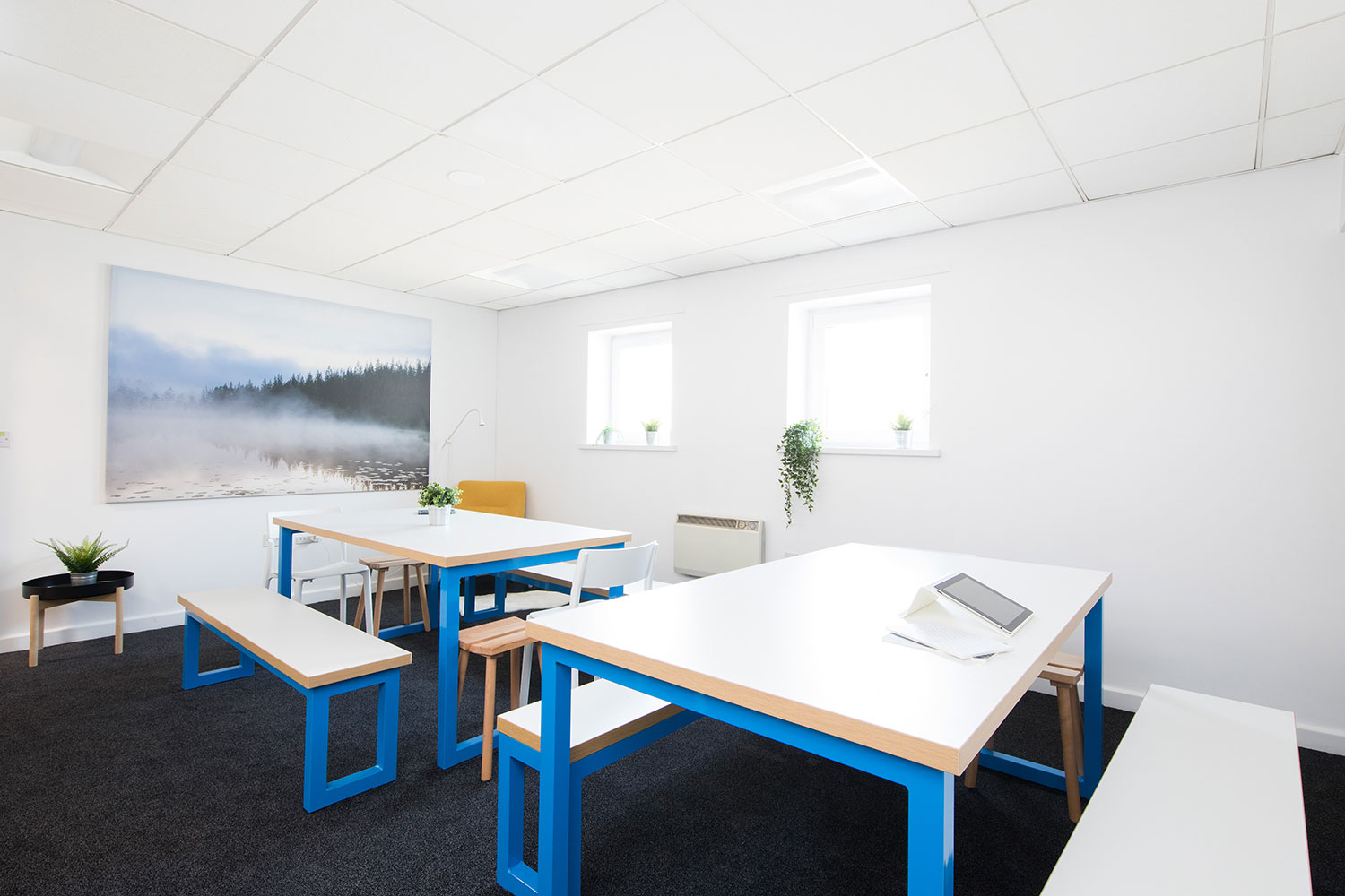 Study area at Severn Point