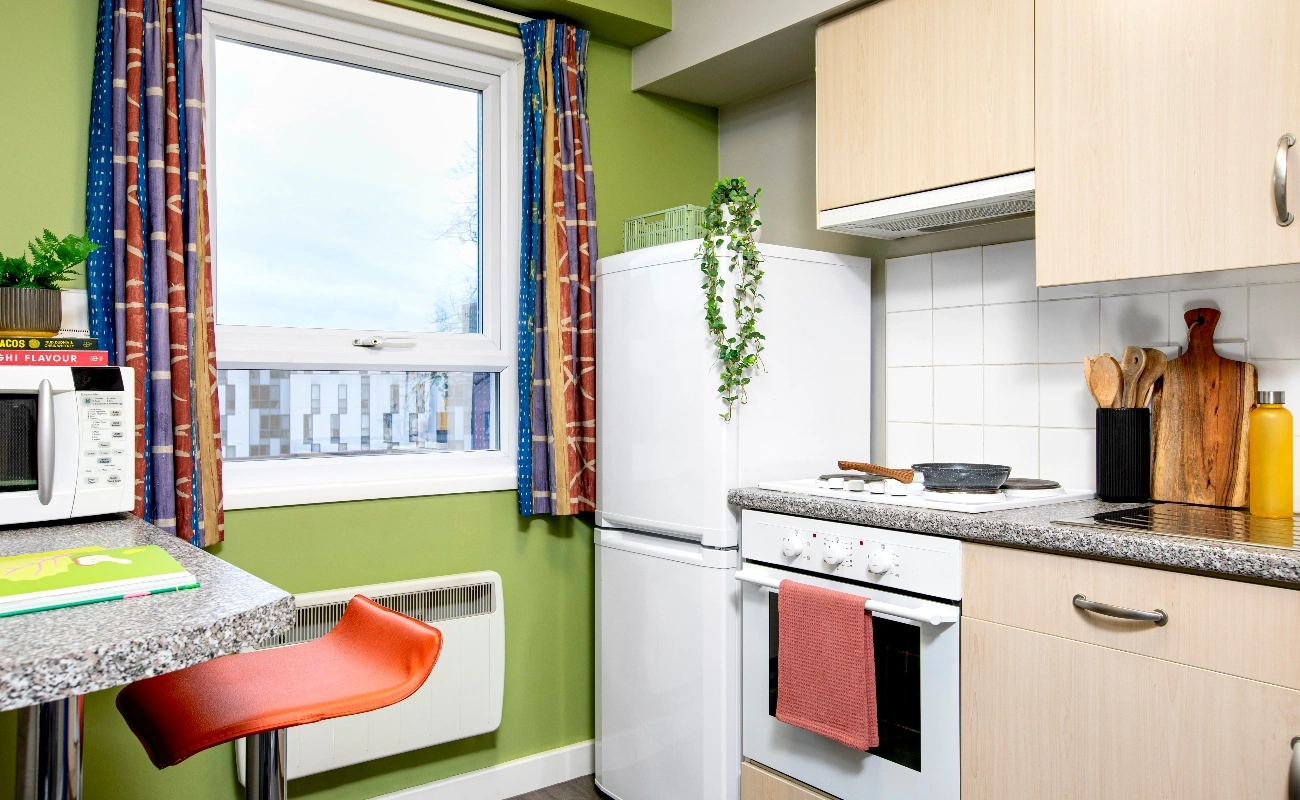 Kitchen in a Studio Classic