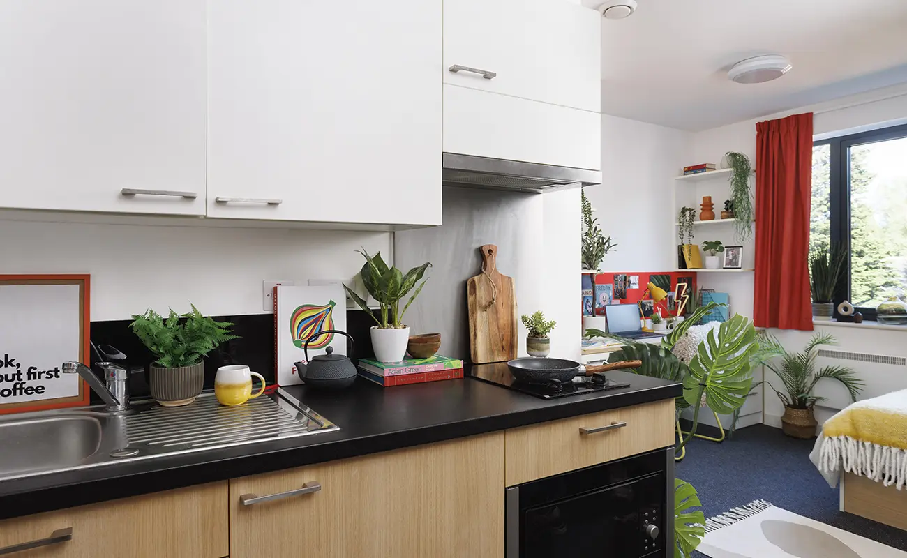 Kitchen in a Studio Classic