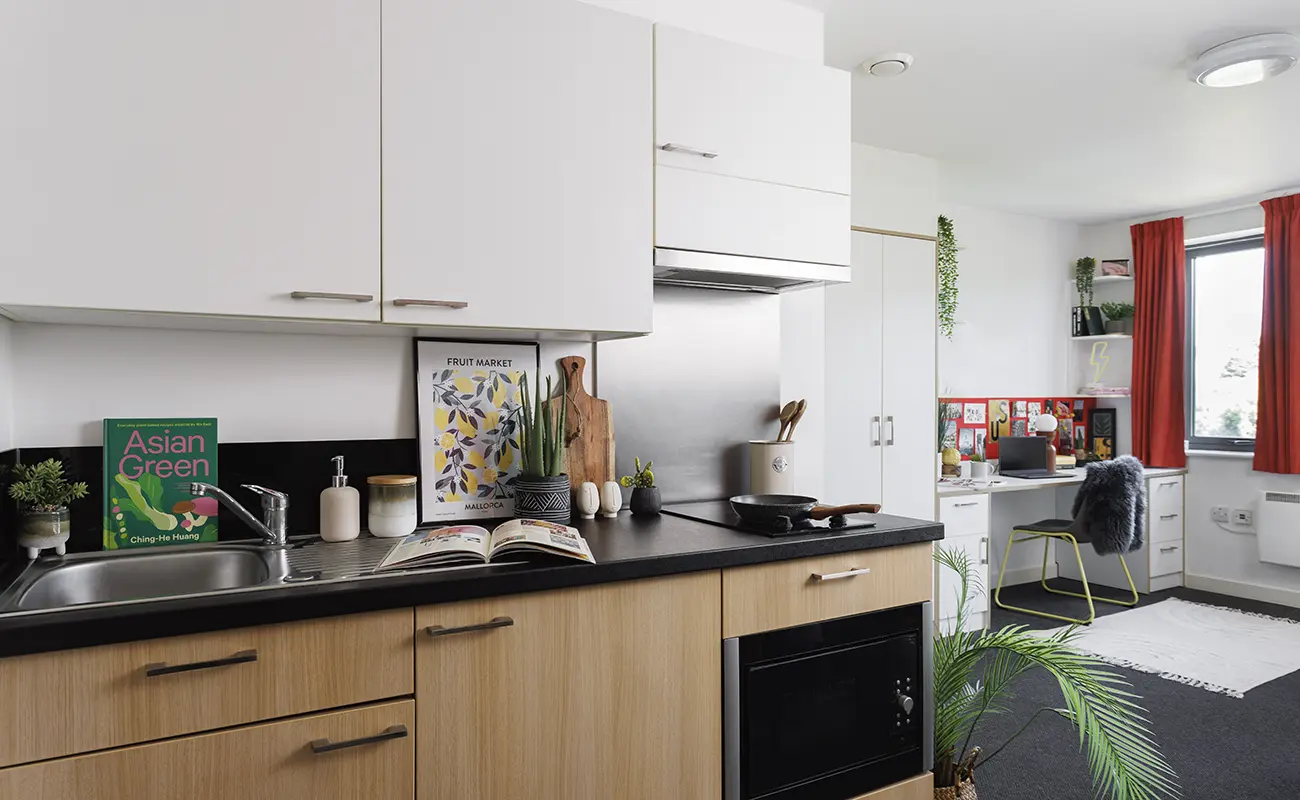 Kitchen in a Studio Premium Range 1