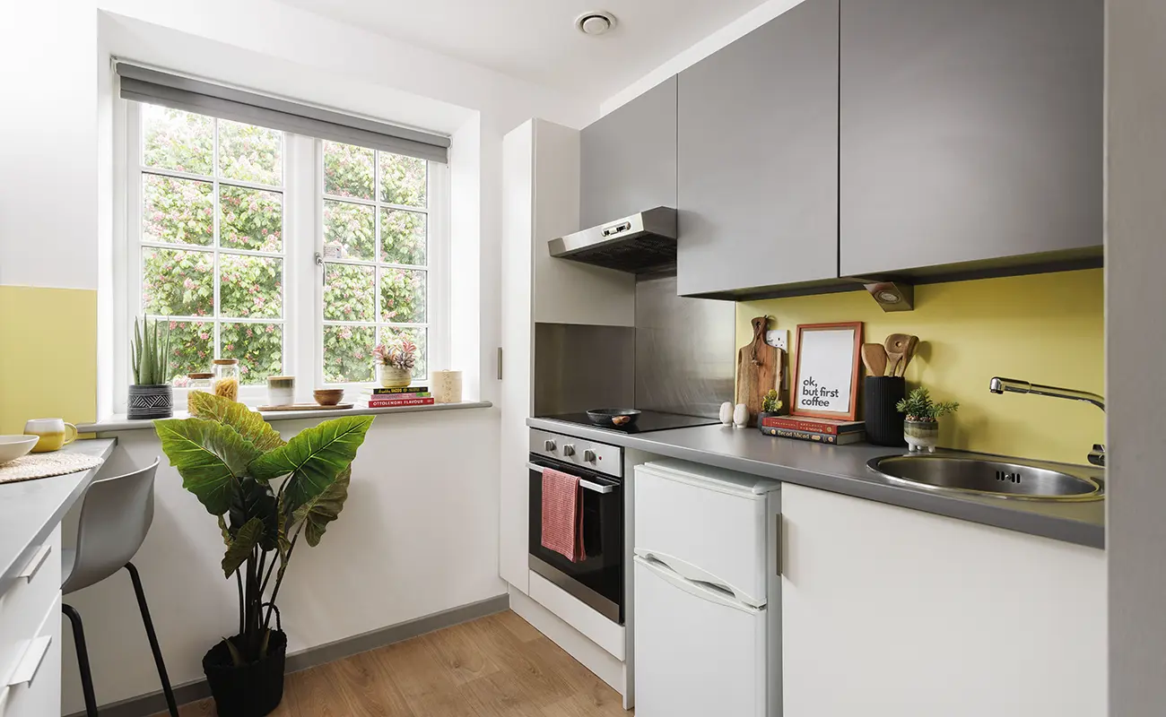 Kitchen in a Studio Classic