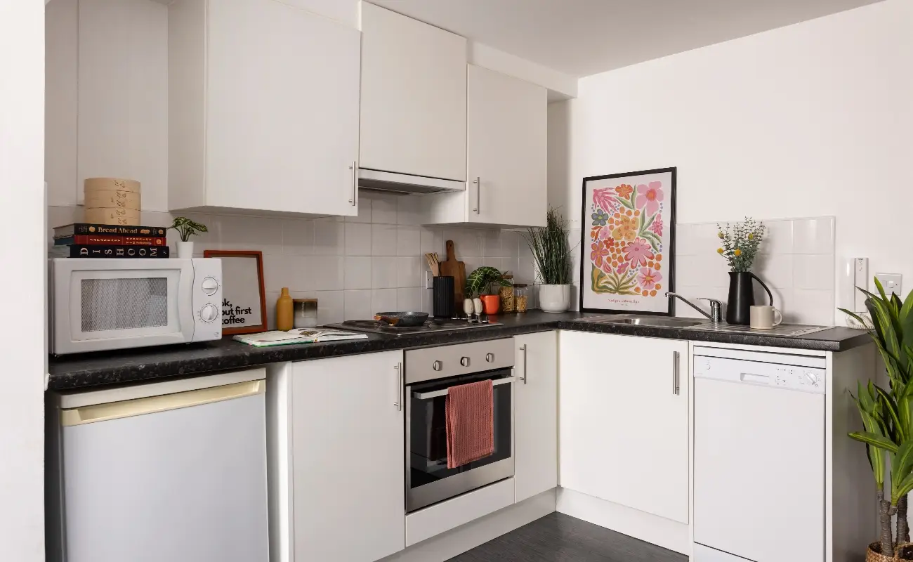 Kitchen in a Studio Classic
