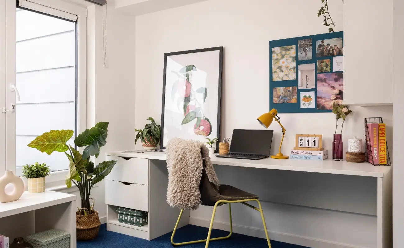 Study space in a Studio Classic