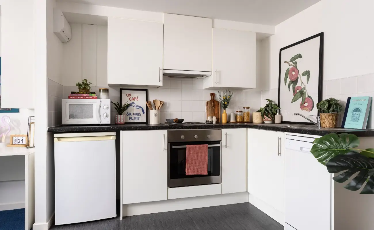 Kitchen in a Studio Premium Range 1