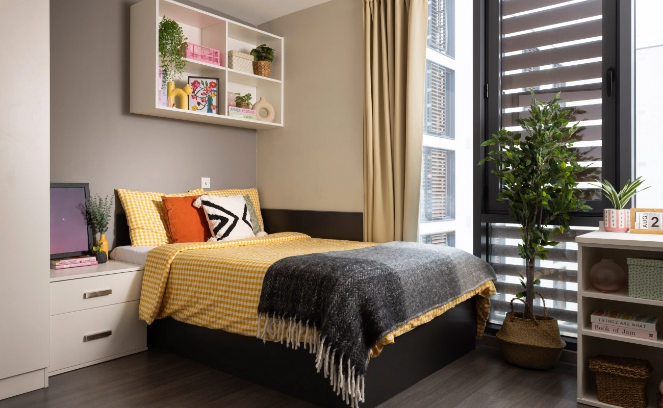 Bed in an Accessible Studio Classic