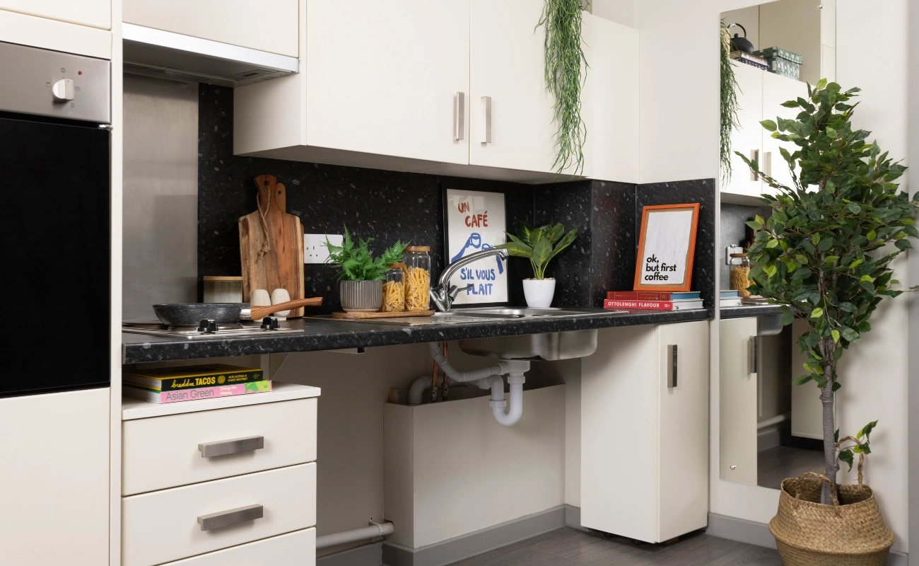 Kitchen in an Accessible Studio Classic