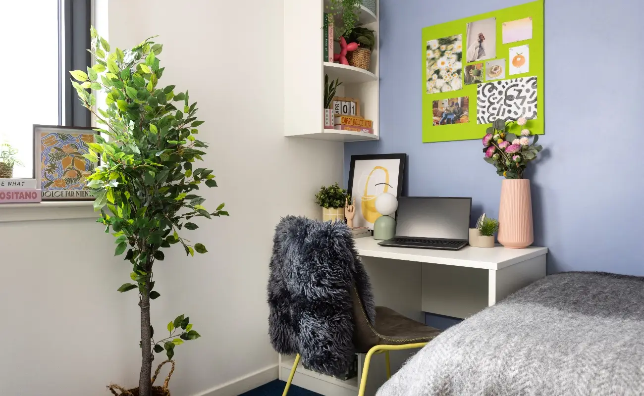 Study space in an Ensuite Classic