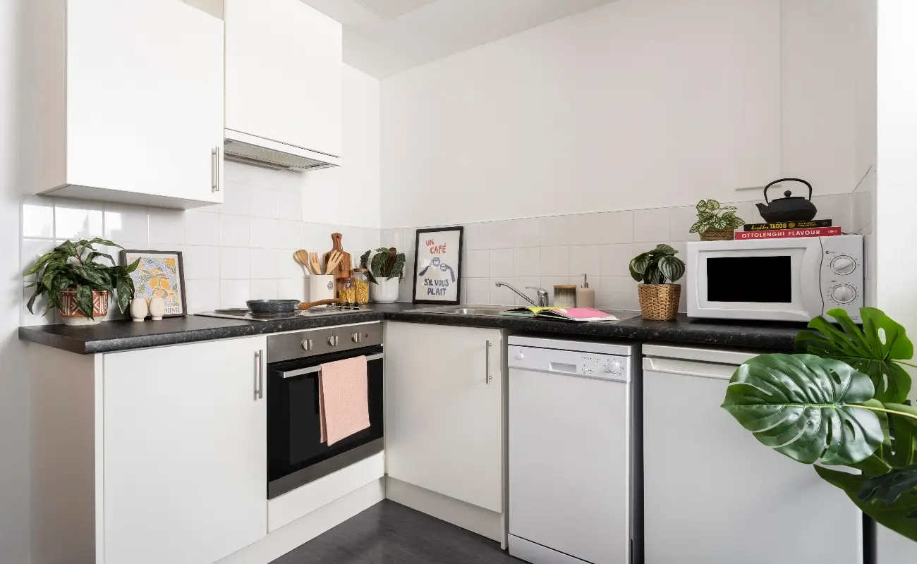 Kitchen in a Studio Classic