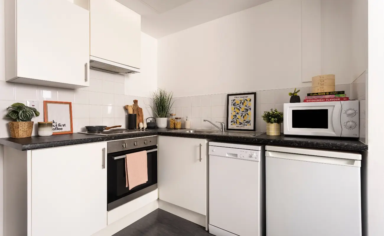 Kitchen in a Studio Premium Range 1
