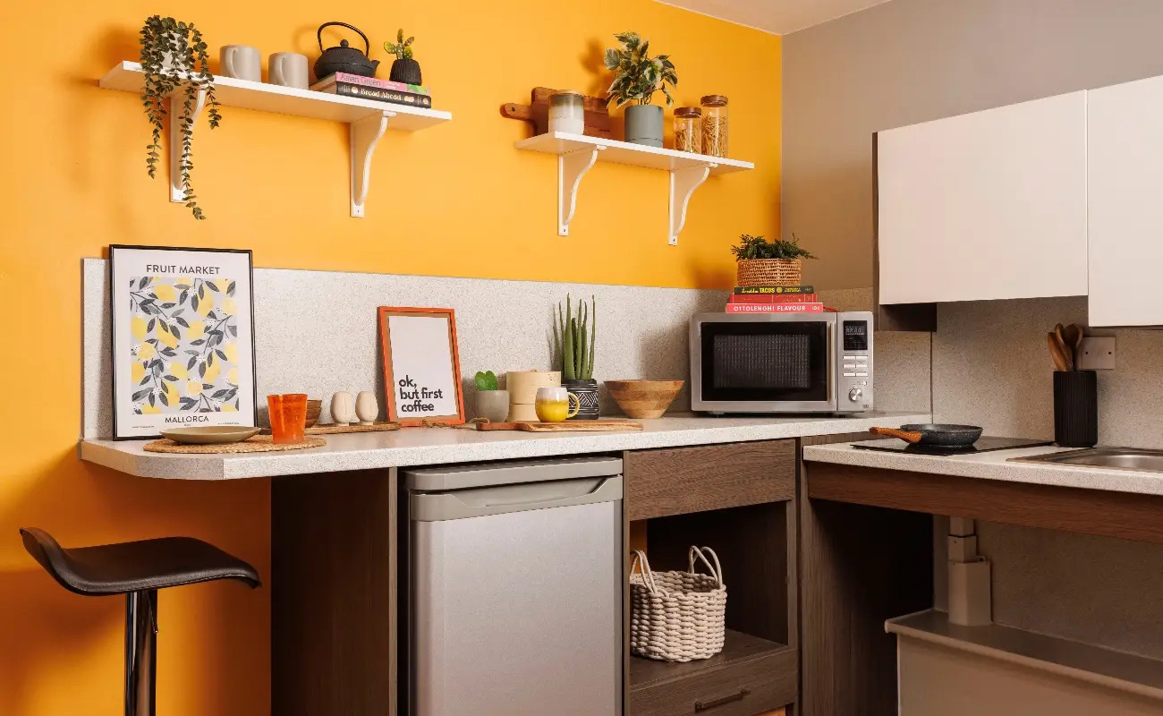 Kitchen in an Accessible Studio Premium Range 1