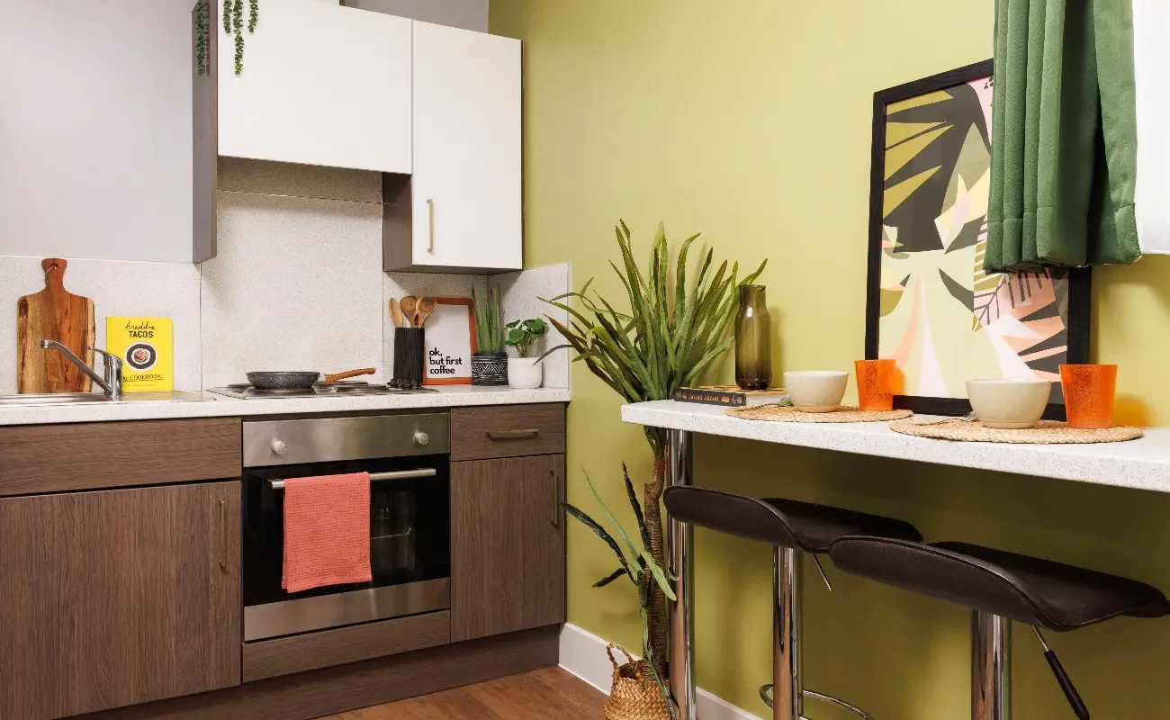 Kitchen in a Two Bedroom Flat Classic