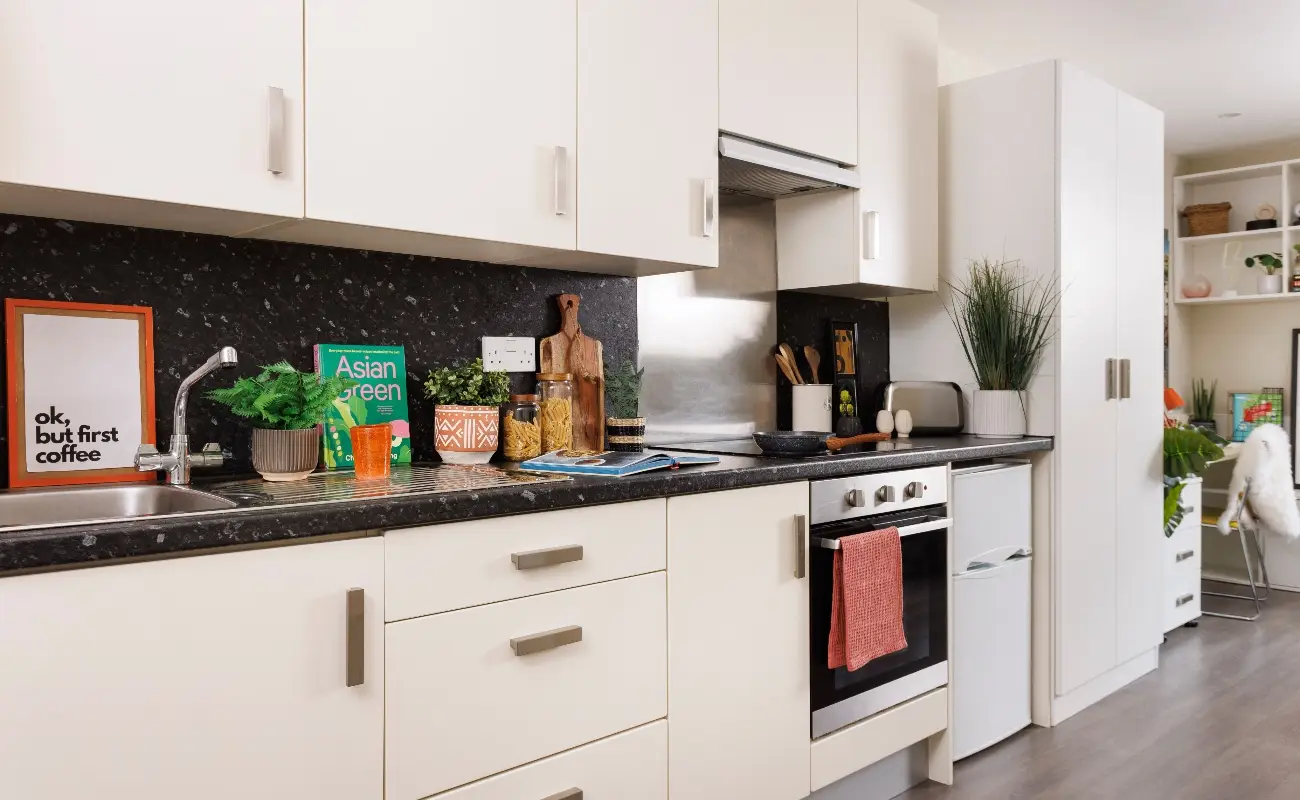 Kitchen in an Accessible Studio Classic