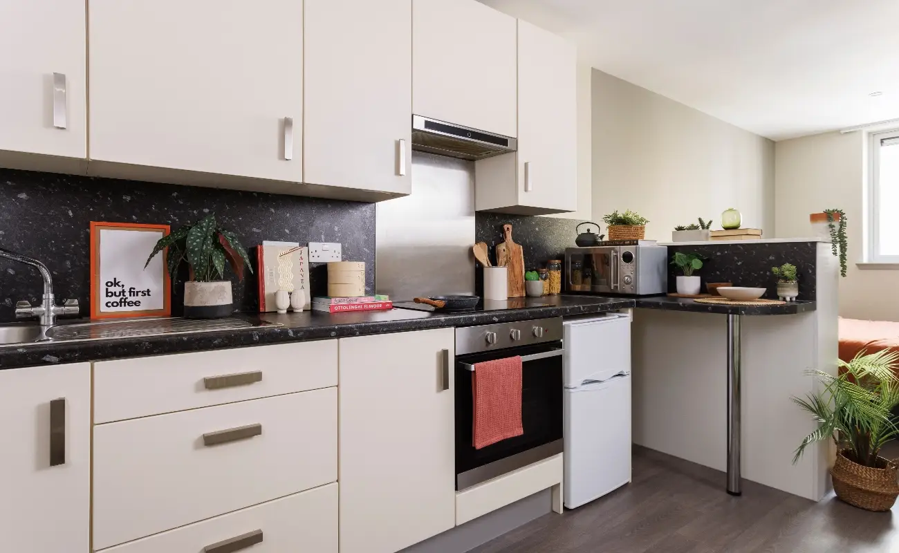 Kitchen in a Studio Premium Range 1