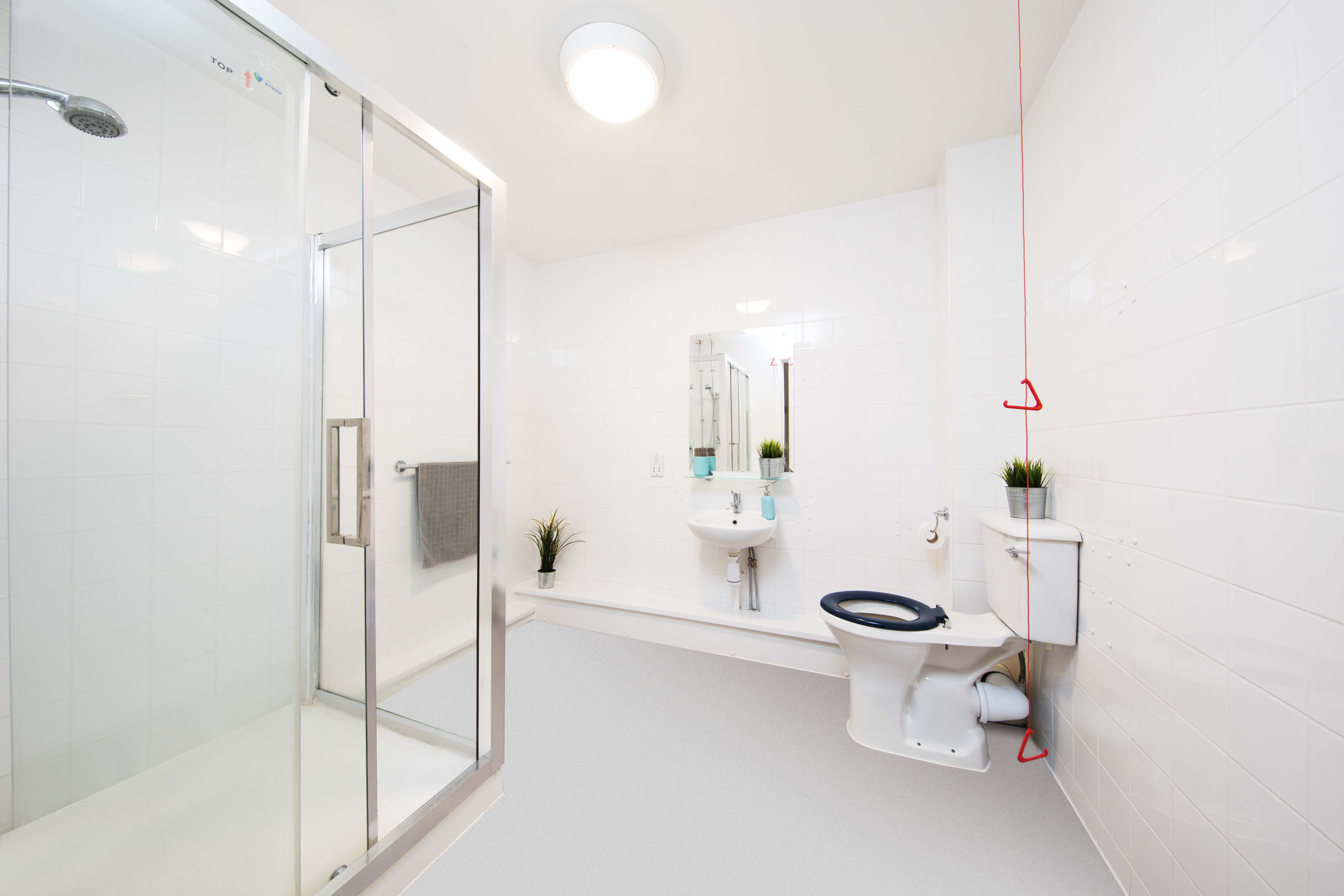 Bathroom with accessible features