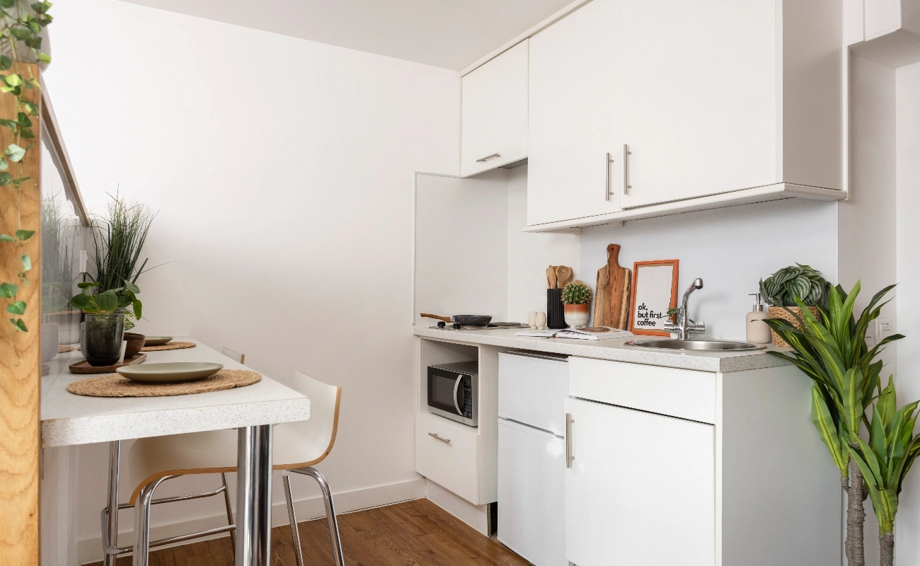 Kitchen in a Studio Premium Range 1