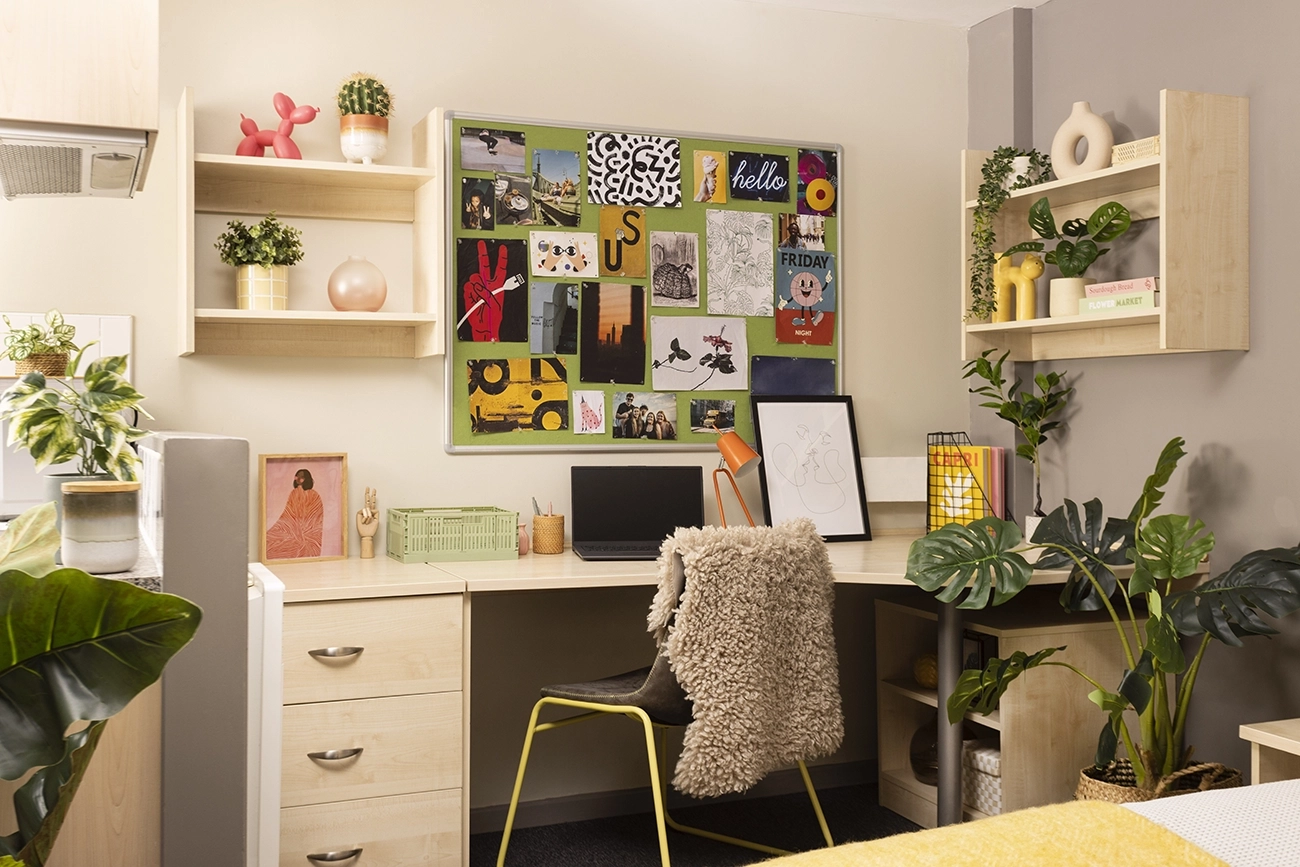 Study space in a Studio Classic