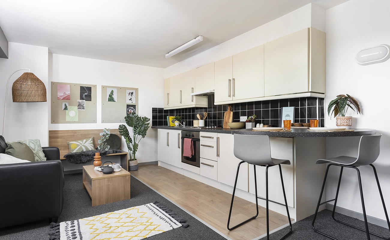 Living area in a Classic One Bedroom Flat