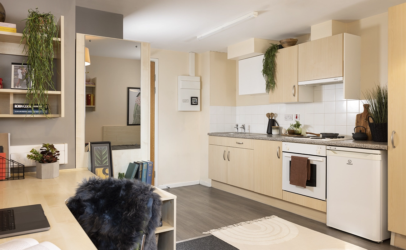 Kitchen in a Classic Studio