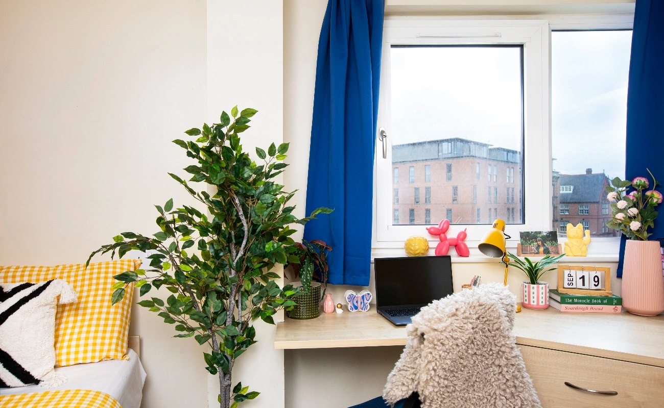 Study space in an Ensuite Basic