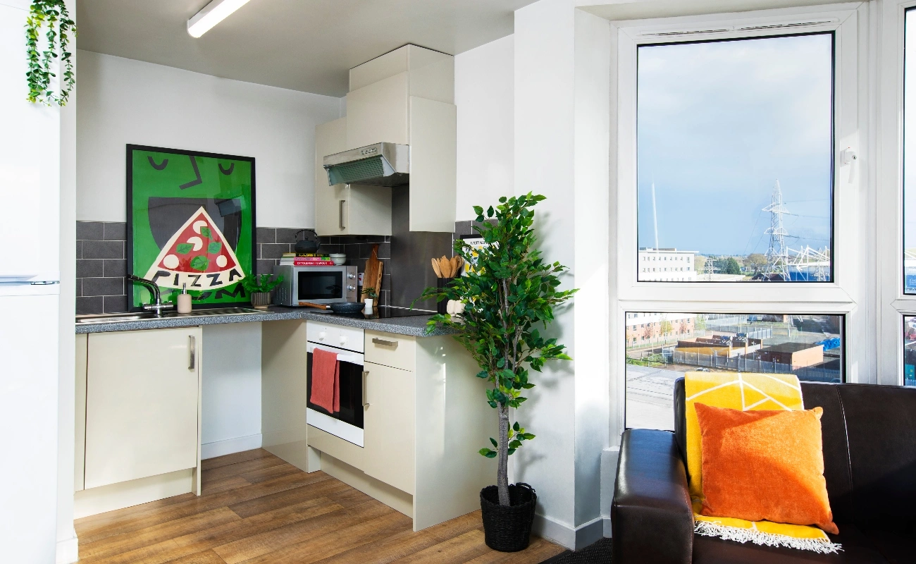Kitchen in a Studio Premium Range 1