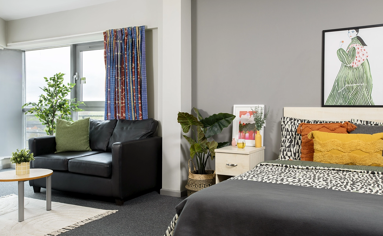 Sofa seating area in a Studio Premium Range 1