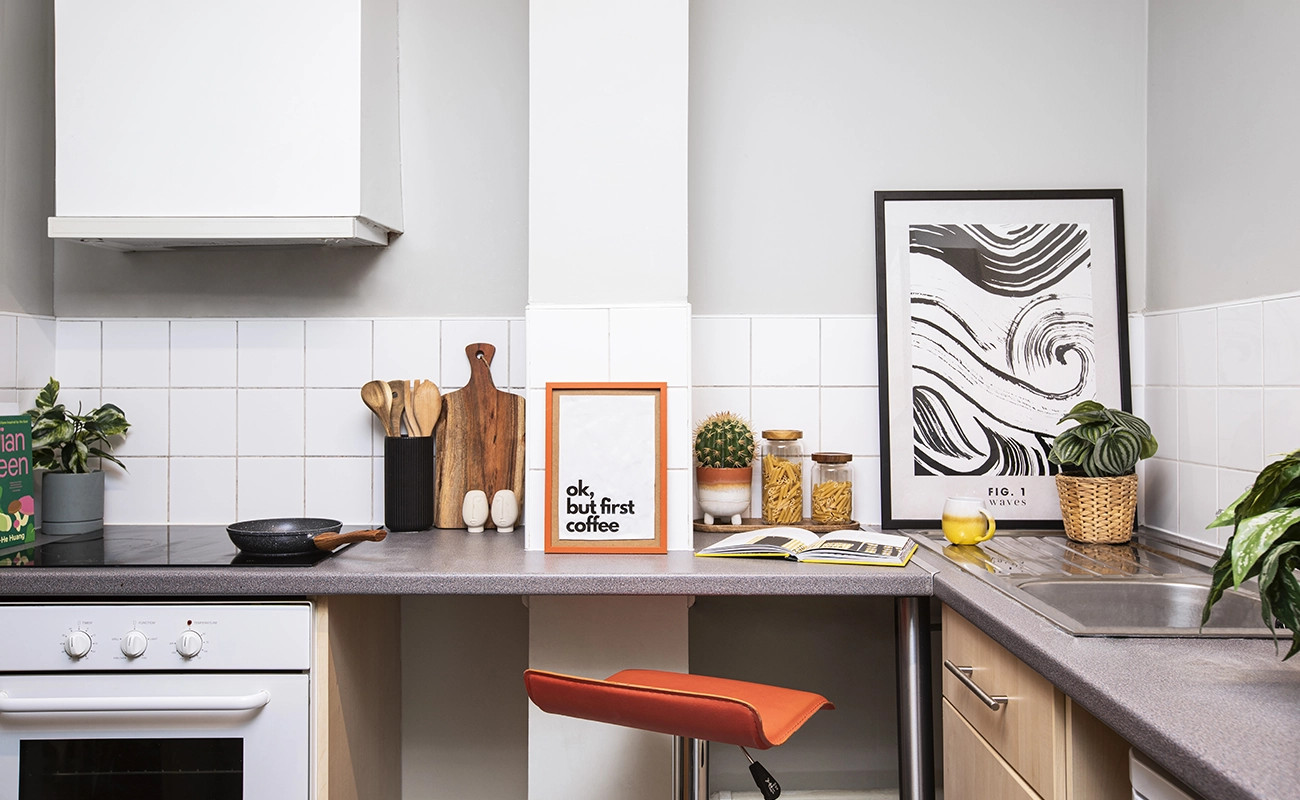 Kitchen in a Studio Premium Range 1