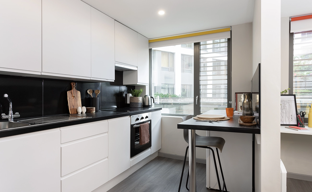 Kitchen in a Classic Studio