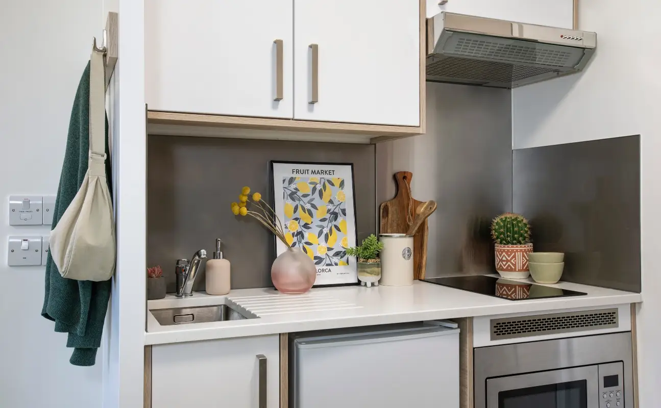 Kitchen in an Accessible Studio Classic