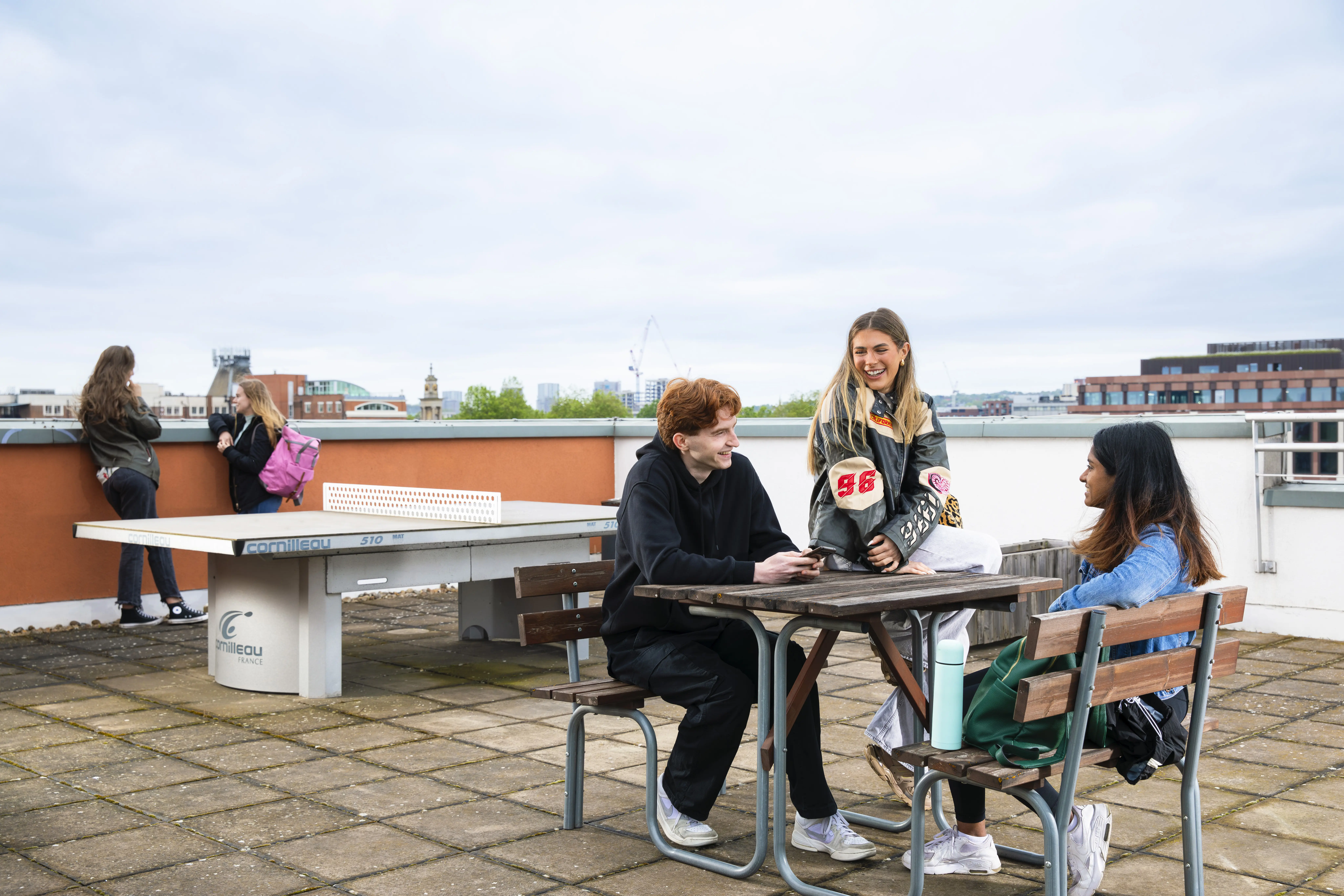 beaumont_de_rooftop
