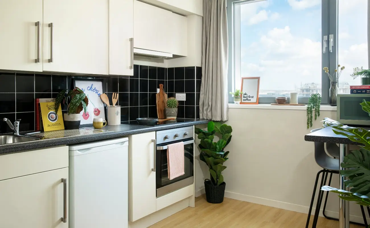 Kitchen in a Studio Classic