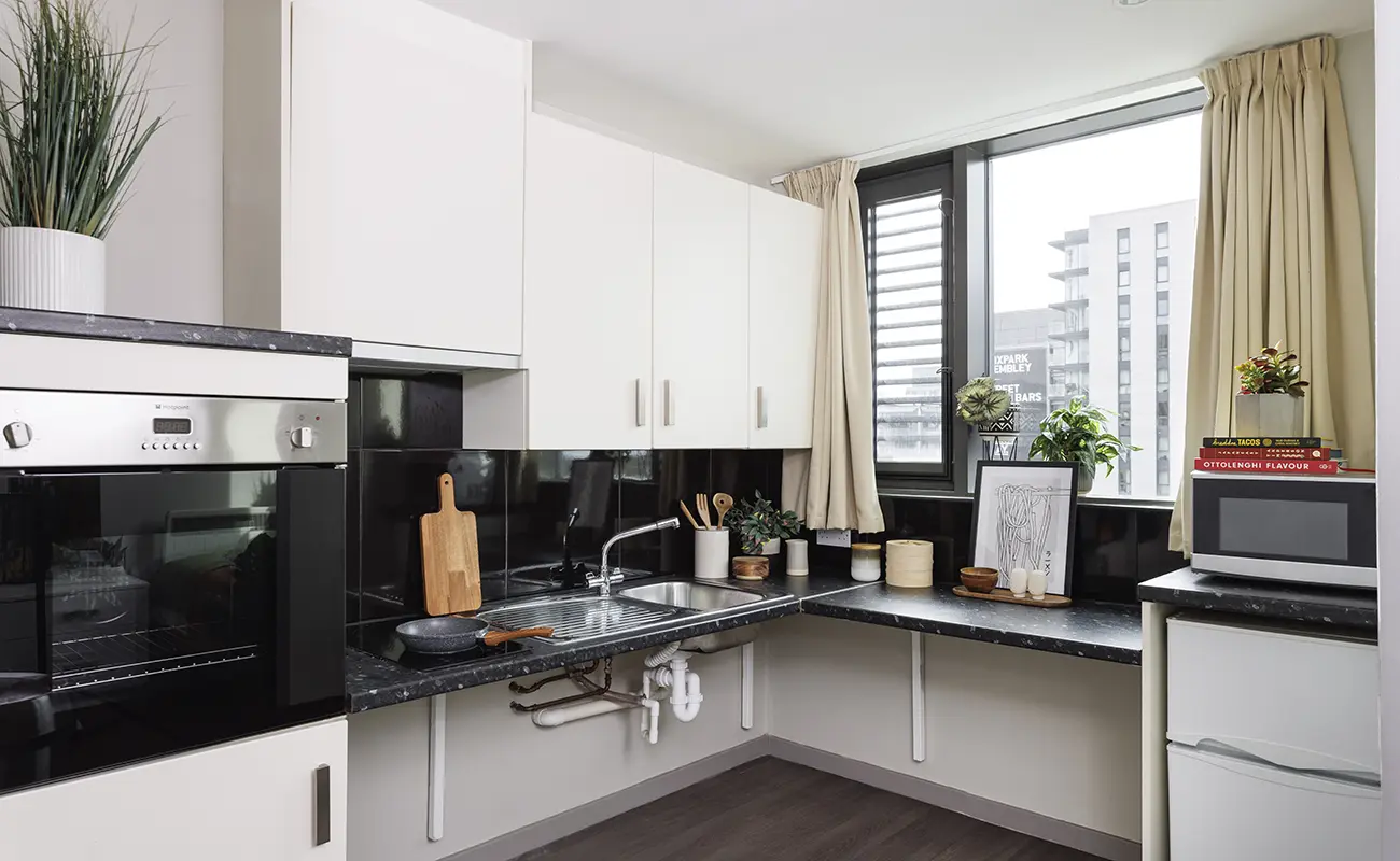 Kitchen in an Accessible Studio