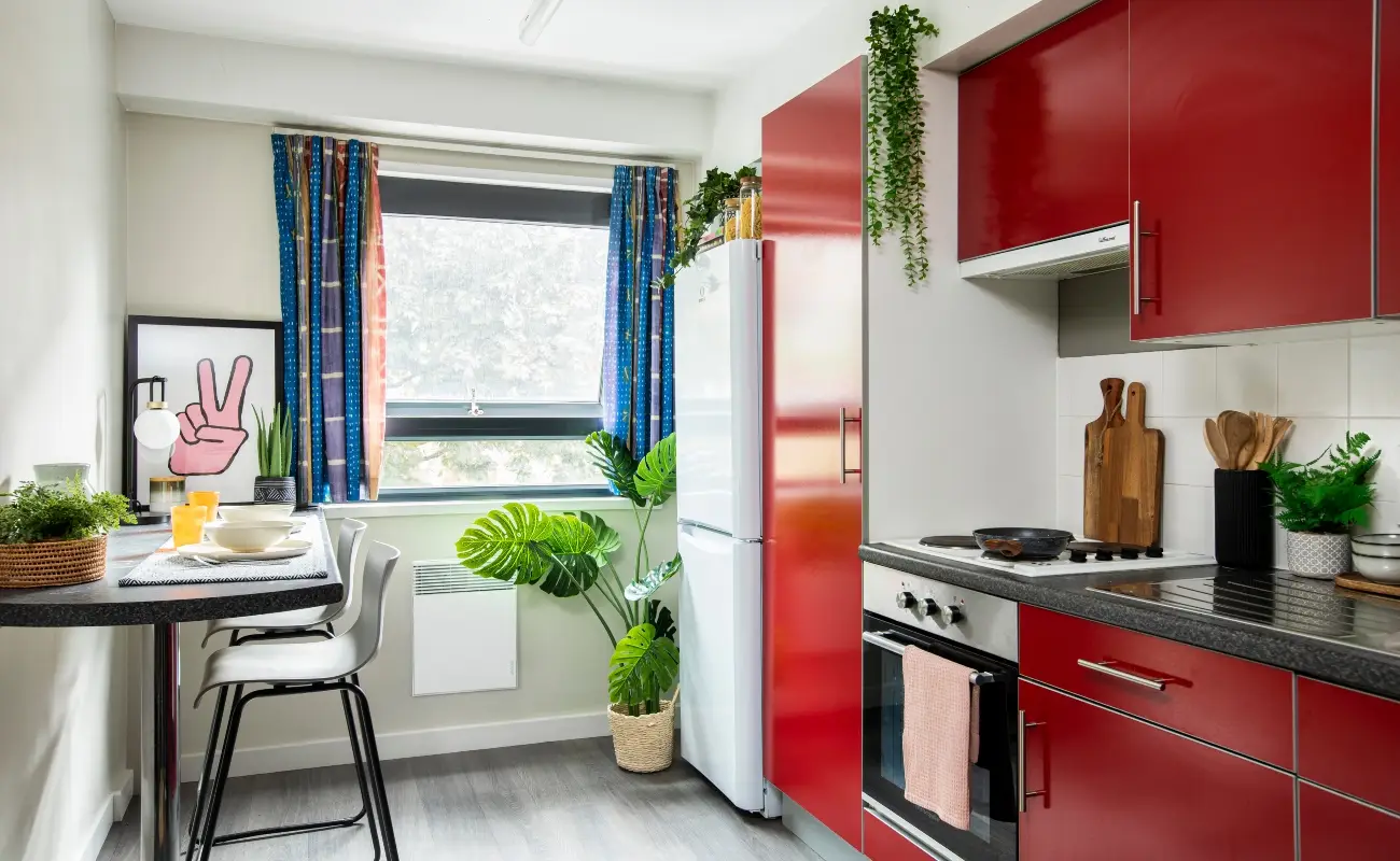 Kitchen in a Studio Classic