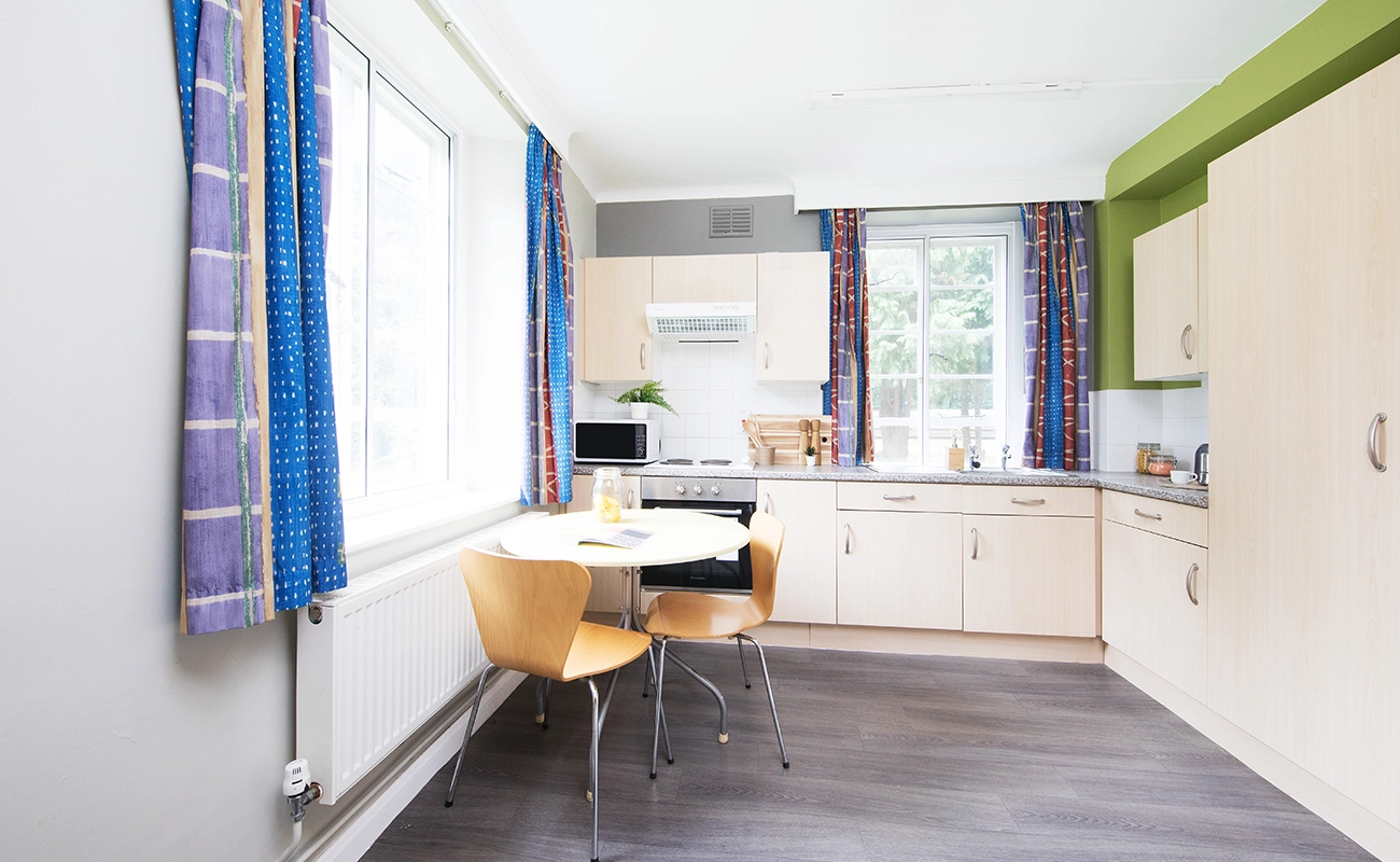 Kitchen in a One Bedroom Flat Classic