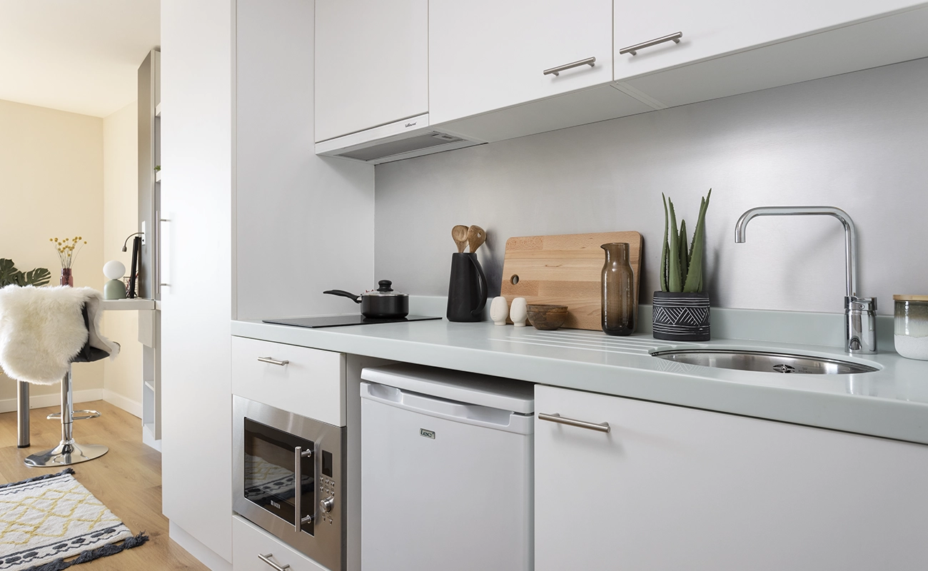 Kitchen in a Classic Studio