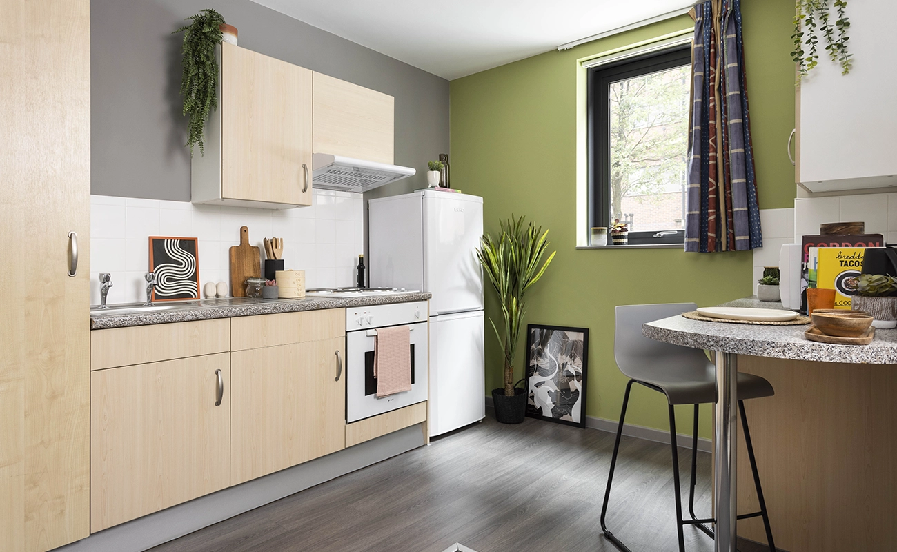 Kitchen in a Classic Studio