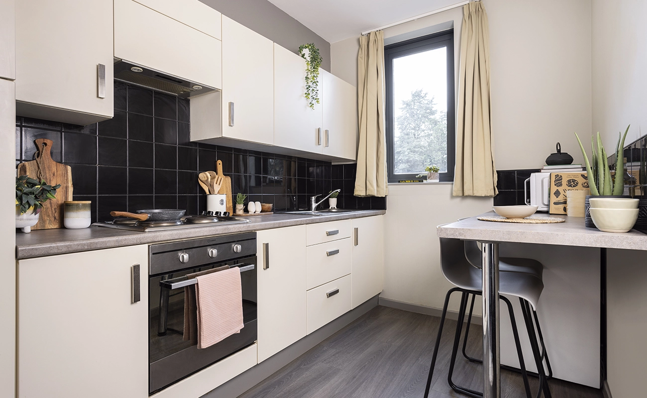 Kitchen in a Premium Range 1 Studio