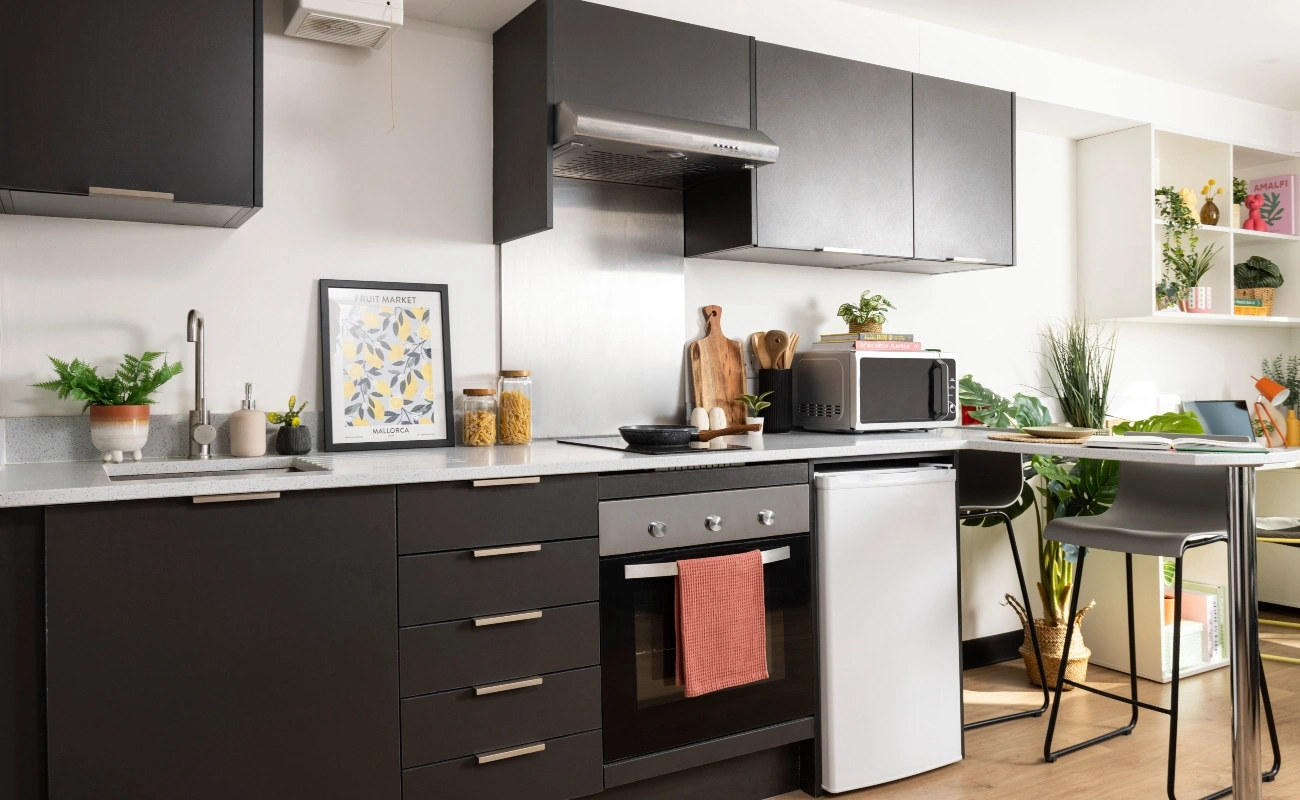 Kitchen in a Studio Classic