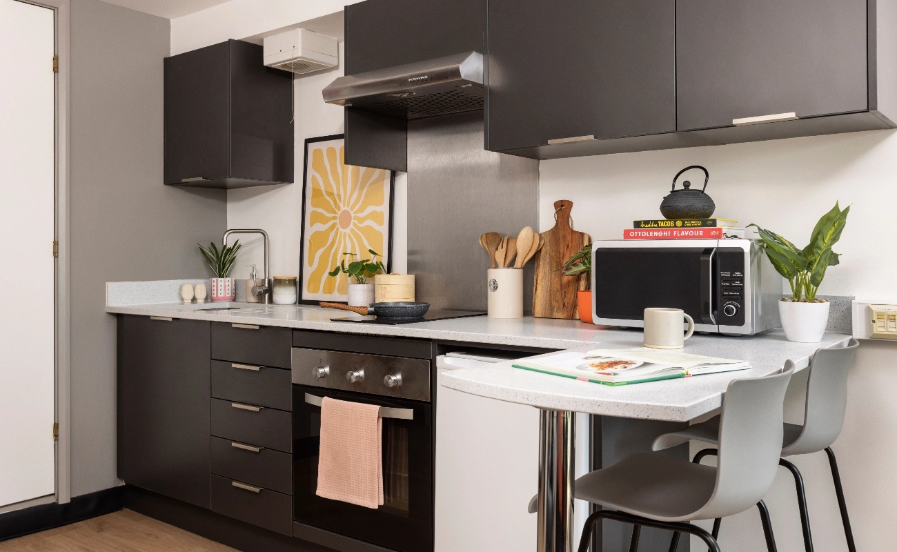 Kitchen in a Studio Premium Range 1