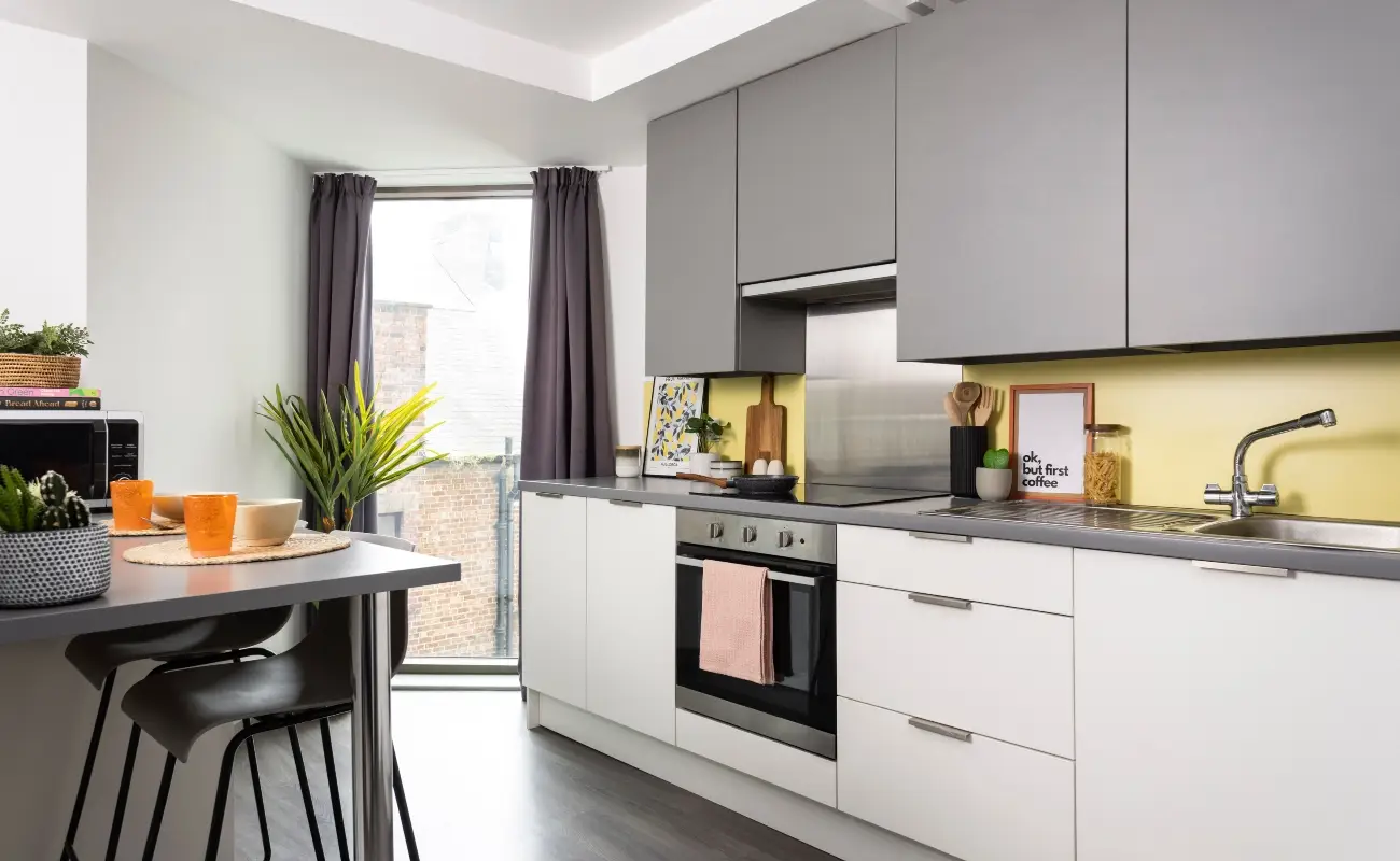 Kitchen in a Studio Premium Range 1