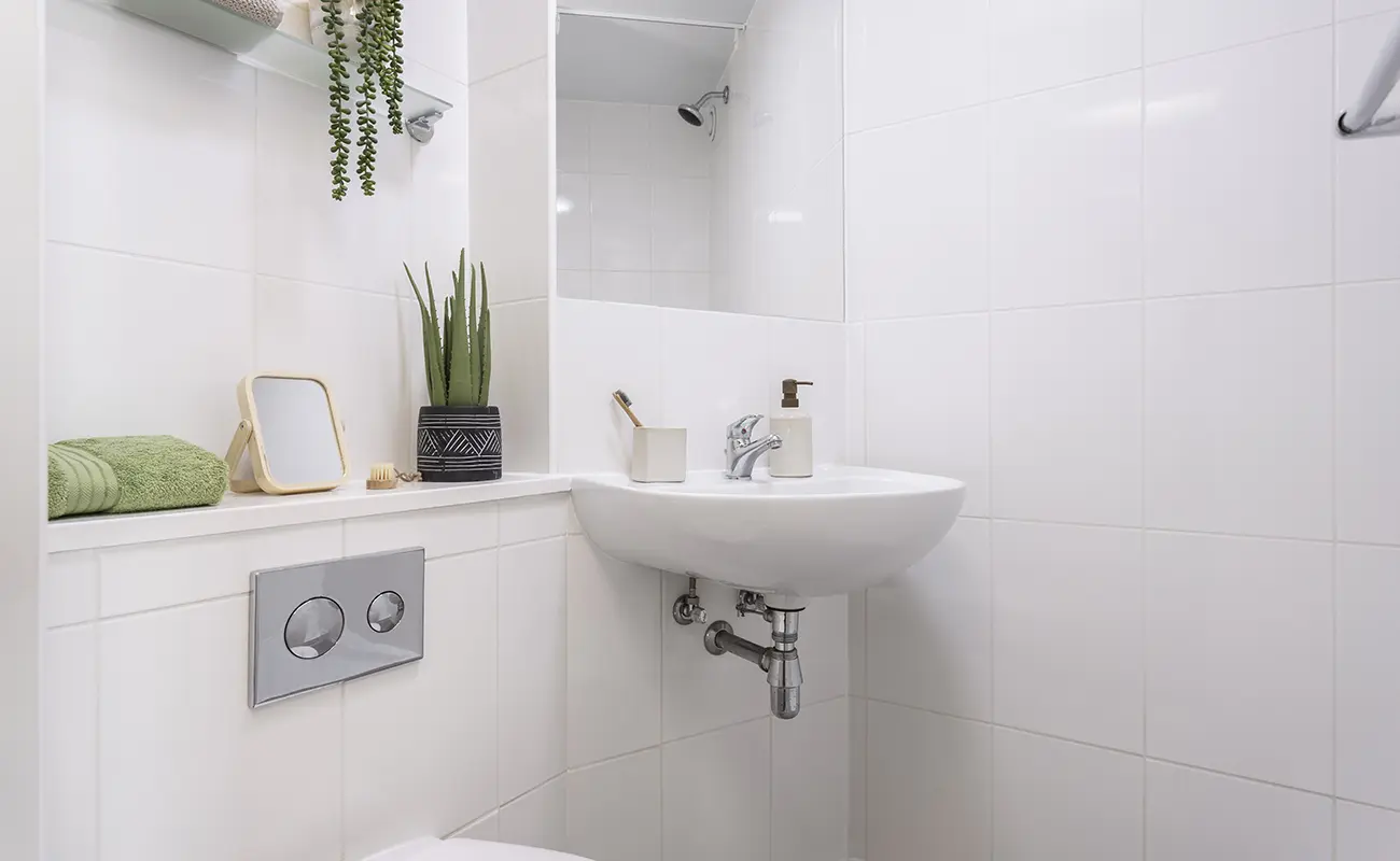 Bathroom in a Classic Studio