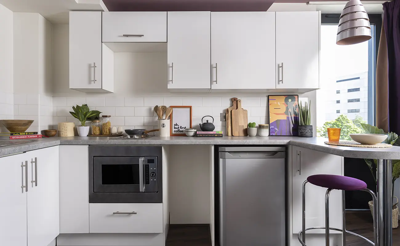 Kitchen in a Premium 1 Studio