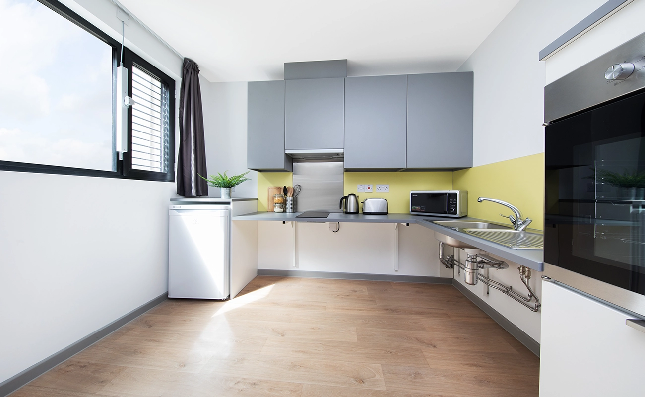 Classic Accessible Studio kitchen with lowered worktop and side opening oven