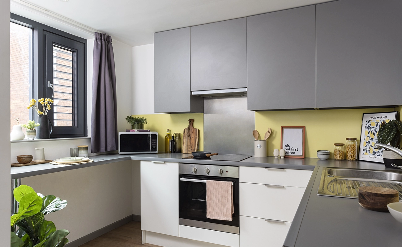 Kitchen in an Accessible Studio Premium Range 3